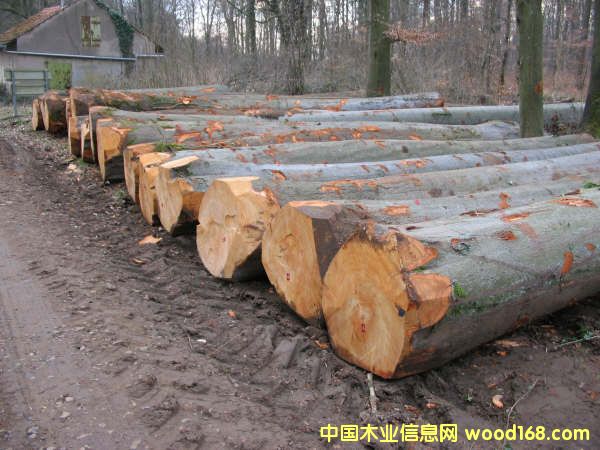 ԭľ��Ԕ��(x��)��B