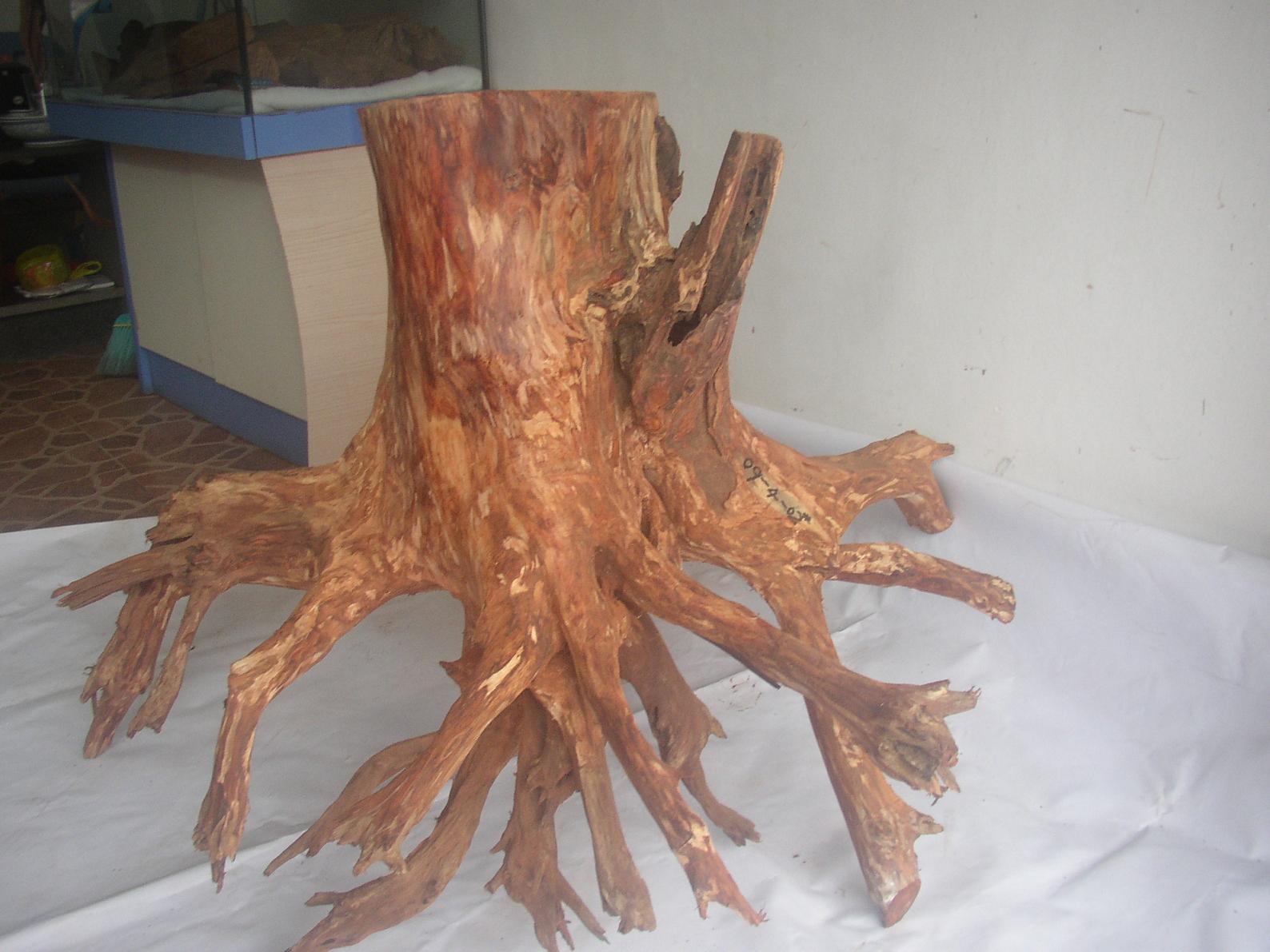 �����S����09-4-2#��Ԕ����B