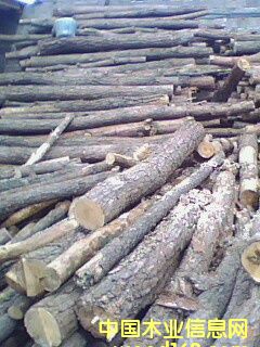 ��ľ��Ԕ����B