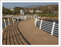 ����ľ��Ԕ����B