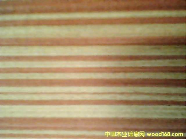 �t�ֵ�Ԕ����B