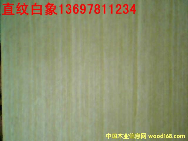 ֱ�y�����Ԕ����B