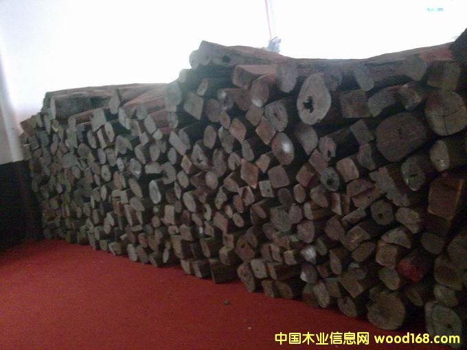 �ϓ��t��֦���ϼtľ��1.5-2�׵�Ԕ����B