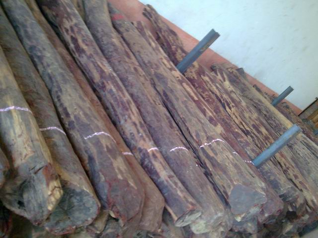 �ؼ�С�~��̴��Ԕ����B