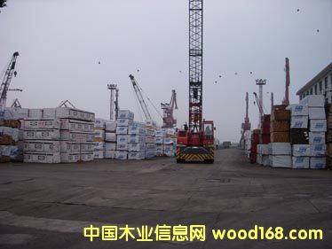 ���NҎ���ĺ�ľ����Ԕ����B