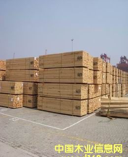 �Fɼ����ľ����Ԕ����B