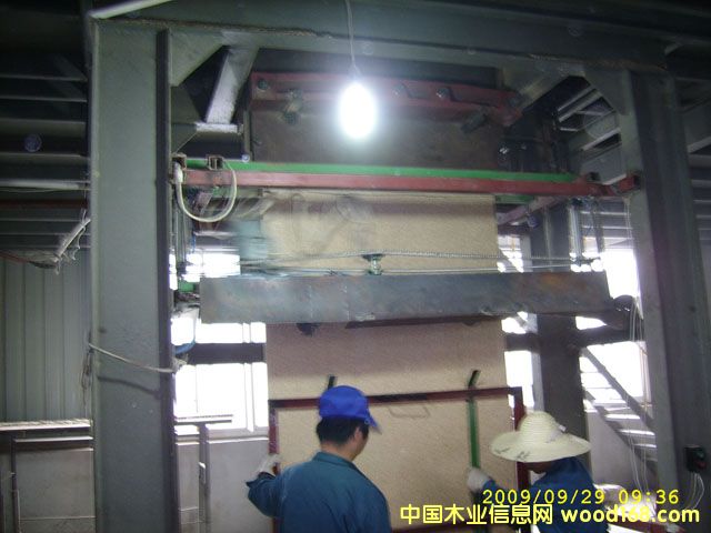 ����F����Ԕ����B