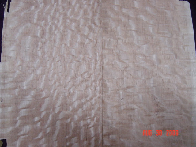 ����ľƤ��Ԕ��(x��)��B