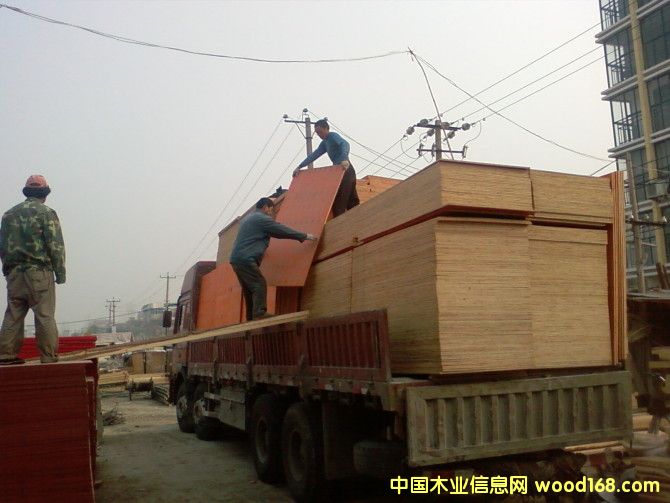 �c(di��n)���鿴��ľģ��Ŵ�DƬ