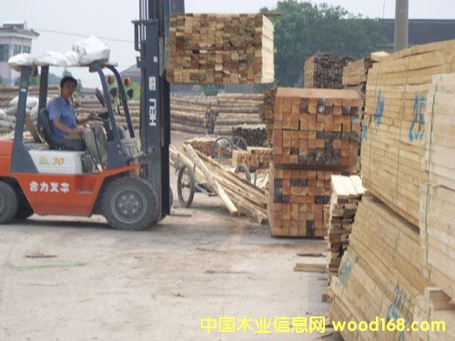 �K��ľ���Ј����I�^��Ԕ����B