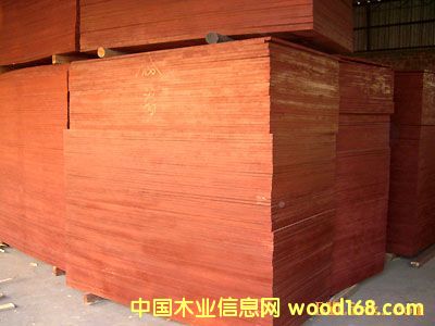 �����z�ϰ��Ԕ����B