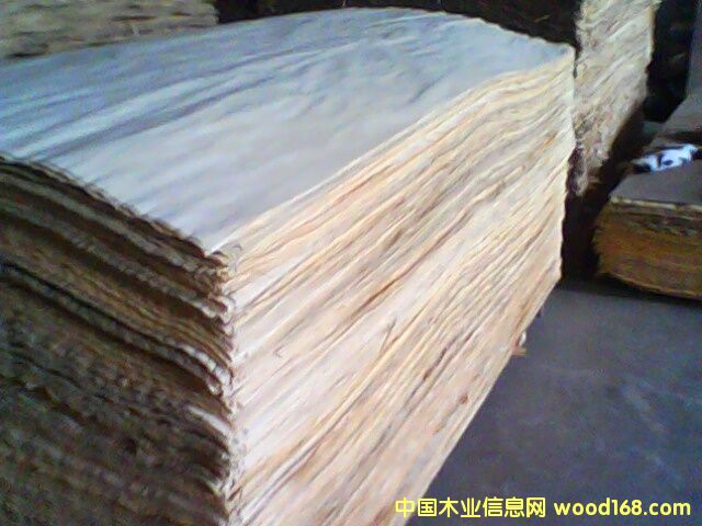 �c���鿴��ľ�ΰ�Ŵ�DƬ