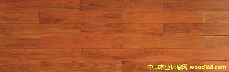 �����ֵ�Ԕ����B