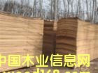 �c���鿴��ľ�ΰ�Ŵ�DƬ