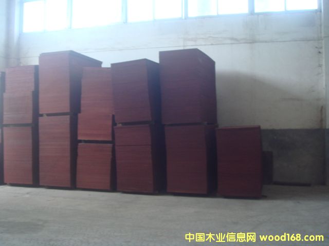 �c���鿴����ģ���z�ϰ�Ŵ�DƬ