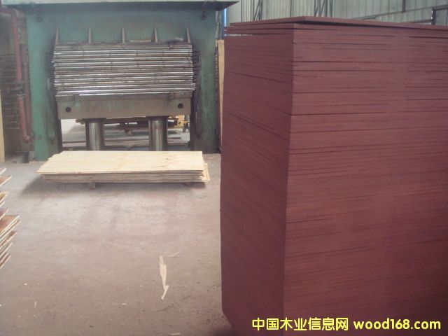 �c���鿴����ģ���z�ϰ�Ŵ�DƬ