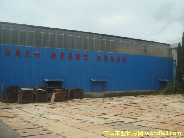 �c���鿴����ģ���z�ϰ�Ŵ�DƬ