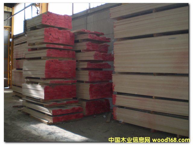 �c���鿴��ľ��ķŴ�DƬ
