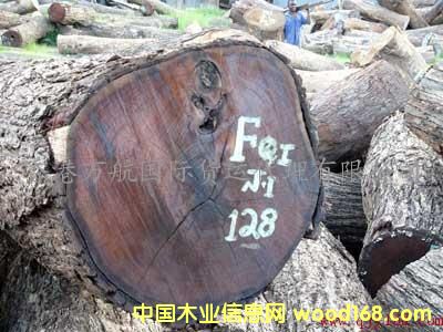 �c���鿴����ľ���M�ڴ���/ľ���M�ں��݈��P(gu��n)����/ľ�ĺ����M�ڴ����̙z�Ŵ�DƬ