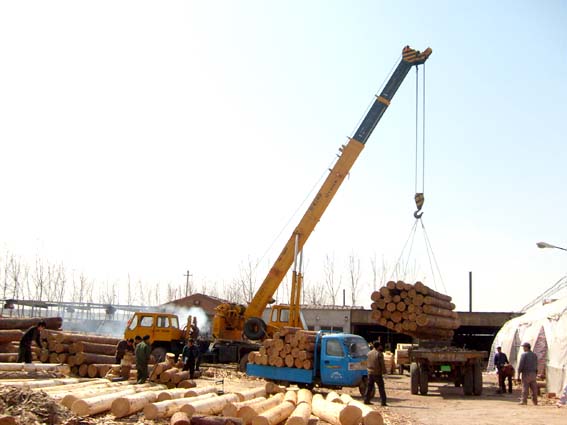 �c���鿴ľ���M�ڛ]�Юa(ch��n)���C/�����C/�lΣ�C��ô���k?�Ŵ�DƬ