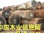 �c���鿴ľ���M���Ͼ����P(gu��n)����/�Ͼ�ľ�Ĉ��P(gu��n)��/ľ���M�����̷Ŵ�DƬ