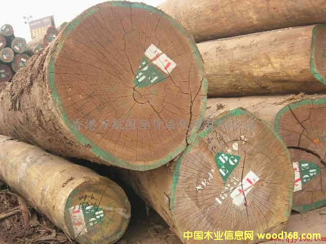 �c���鿴ľ���Ϻ��M�ڈ��P(gu��n)����/ľ���M������/�Ϻ�����ľ���M���̙z�Ŵ�DƬ