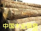 �c���鿴ľ���M���麣���P(gu��n)����/�麣�M��ľ�����P(gu��n)����/�麣ľ�Ĉ��P(gu��n)�зŴ�DƬ