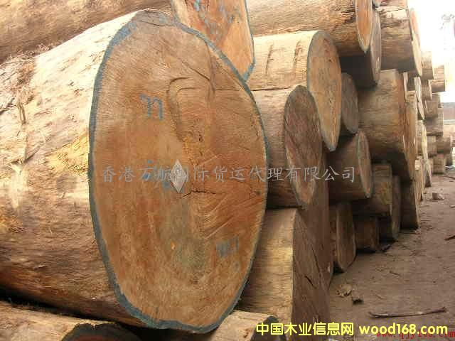 �c���鿴�Ҿ��M�ڻ������P(gu��n)����/����ľ���M�ڴ�����P(gu��n)/���ݼҾ߈��P(gu��n)�зŴ�DƬ