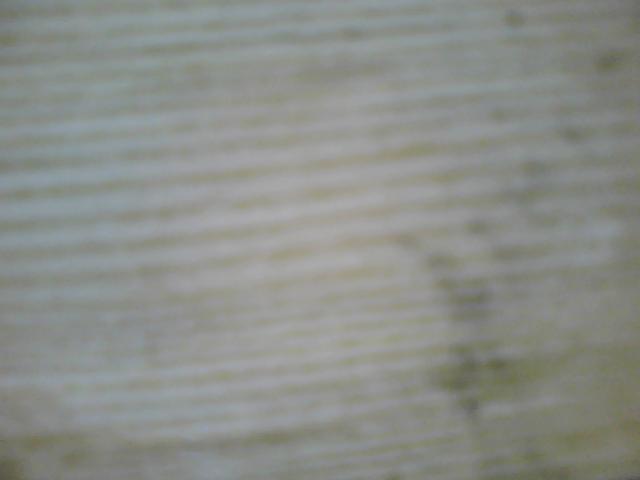 �c���鿴��ľ�Ŵ�DƬ