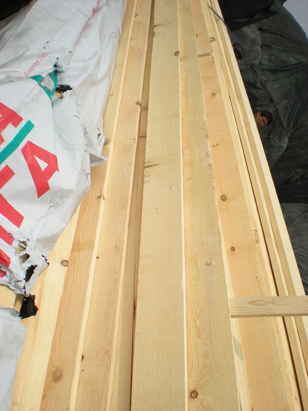 �c���鿴�����ɰ巽�Ŵ�DƬ