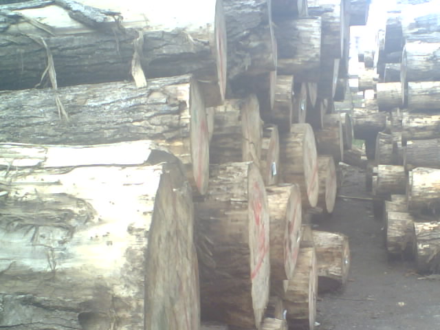 ��ľԭľ����ĵ�Ԕ����B