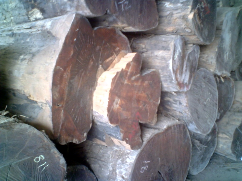 ��ľԭľ����Ĵ󷽵�Ԕ����B