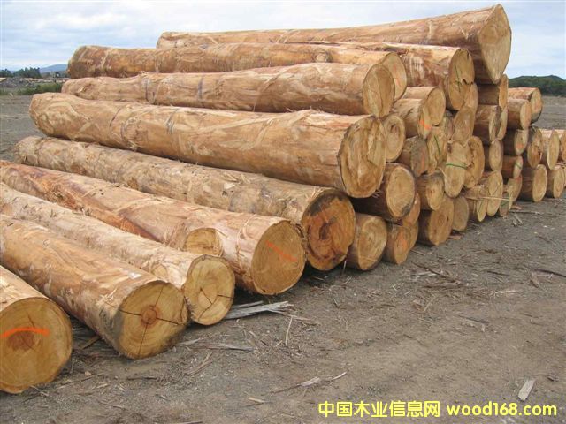 �ϷǼt̴ԭľ��Ԕ����B