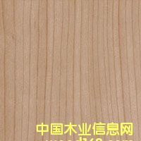 �c���鿴��������ֱ�y�Ŵ�DƬ