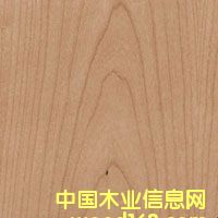 �c���鿴��������ɽ�y�Ŵ�DƬ