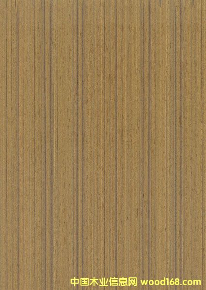 �c���鿴��ľTK-205Q�Ŵ�DƬ