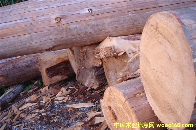 �c(di��n)���鿴��ֱ��ɼľ�Ŵ�DƬ