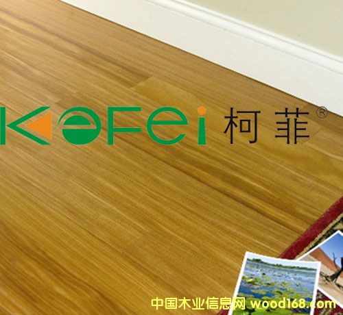 �c���鿴���Ϙ匍ľ�ذ�Ŵ�DƬ