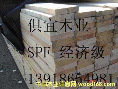 SPF���(����������Ԕ����B