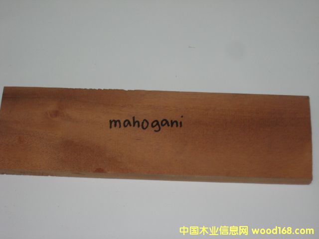 �һ���ľ��MAHOGANY��