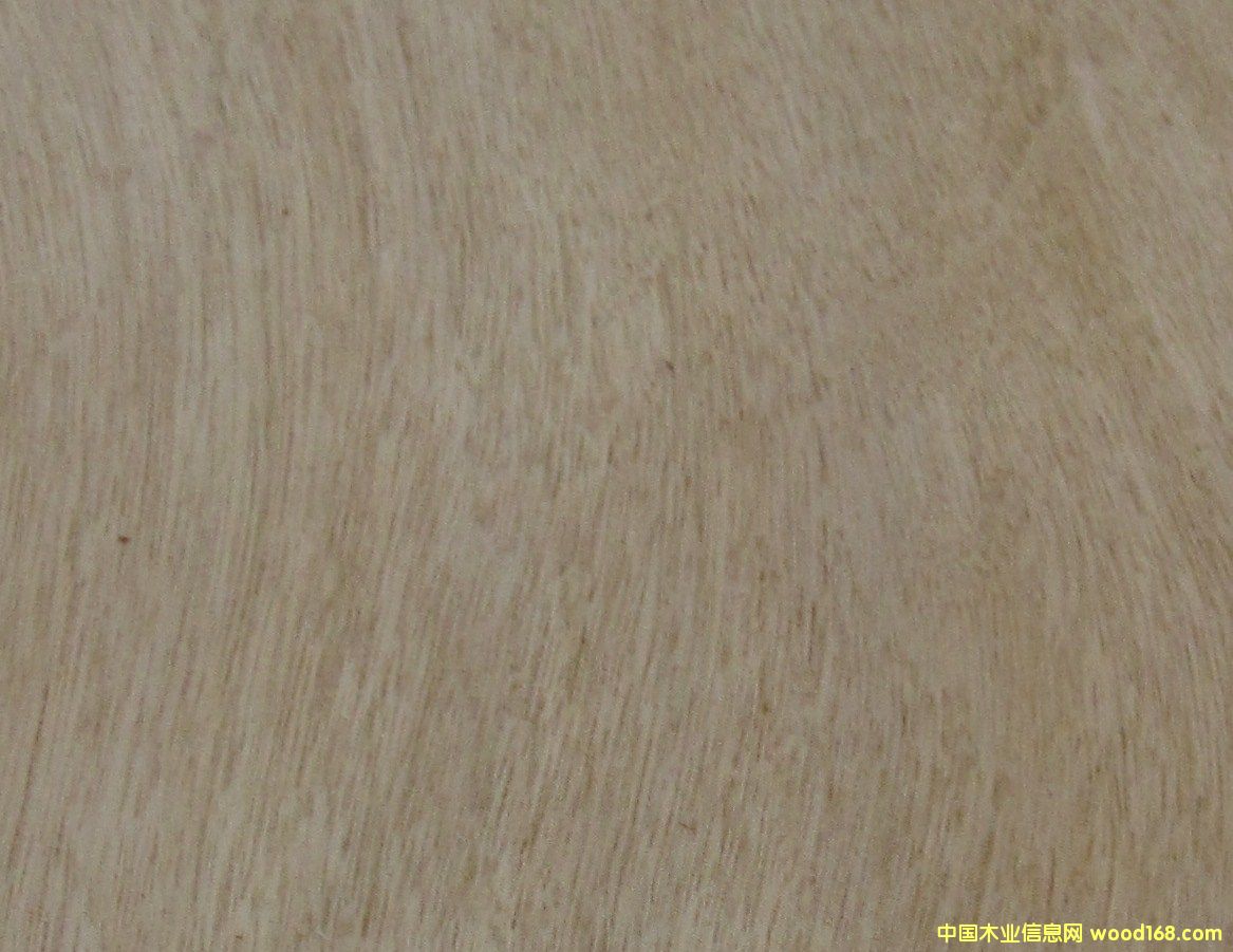 �S˨��Ԕ����B