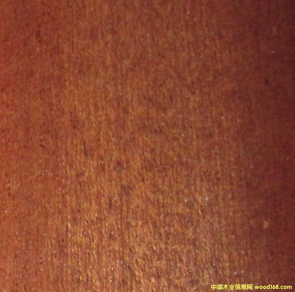 ����ľ��Ԕ����B