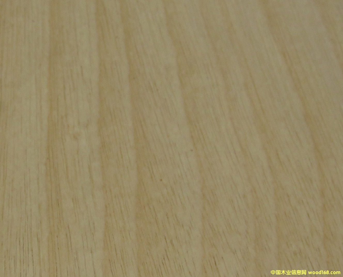 ������Ԕ����B