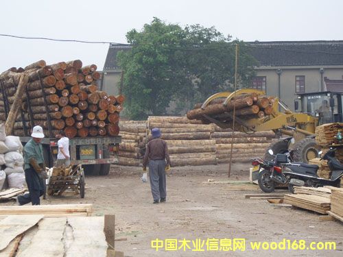 ��ɽ�ӹ�ľ�ĵ�Ԕ����B