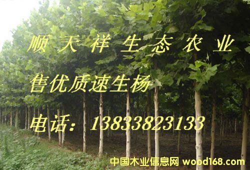 ���|��������ľ��Ԕ����B