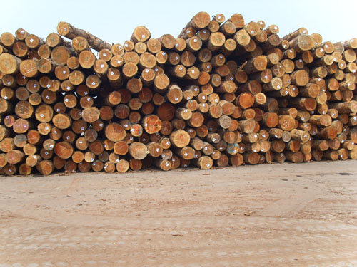 ����ľ��ԭľ��Ԕ����B