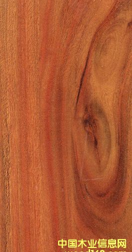 �G��ذ�-�R�ɲ��_��ˮϵ�е�Ԕ����B