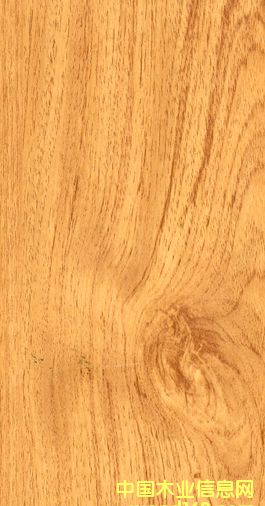 �G��ذ�-���װ�ϵ�е�Ԕ����B