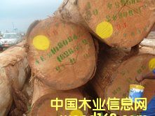 ����˹ԭľ��B+��(j��)��Ԕ��(x��)��B