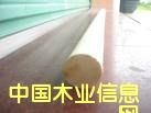 ��A����Ԕ��(x��)��B
